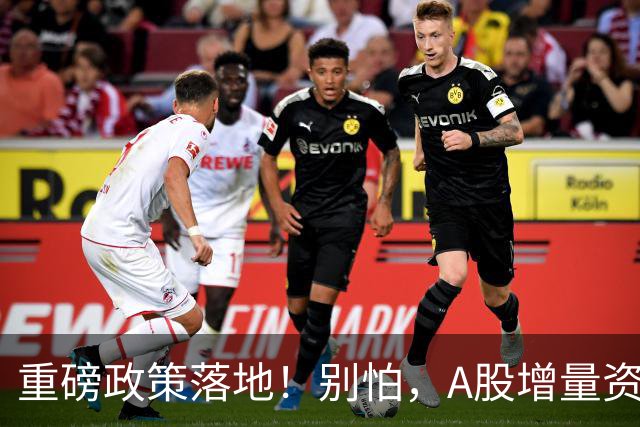 重磅政策落地！别怕，A股增量资金来了