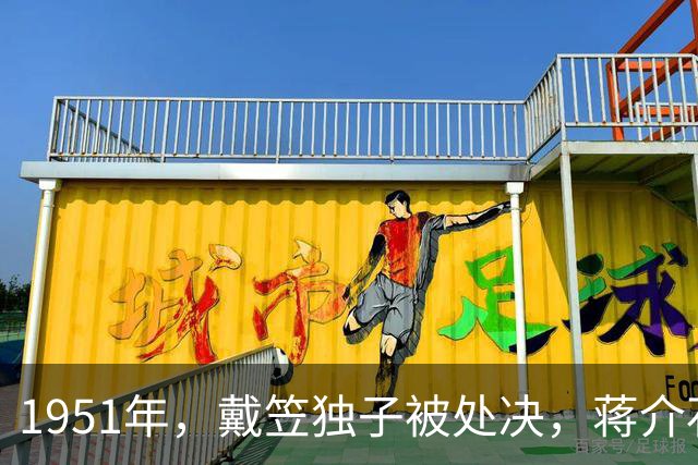 1951年，戴笠独子被处决，蒋介石两年后下令：他的子孙全接回台湾